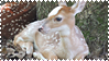 Fawn