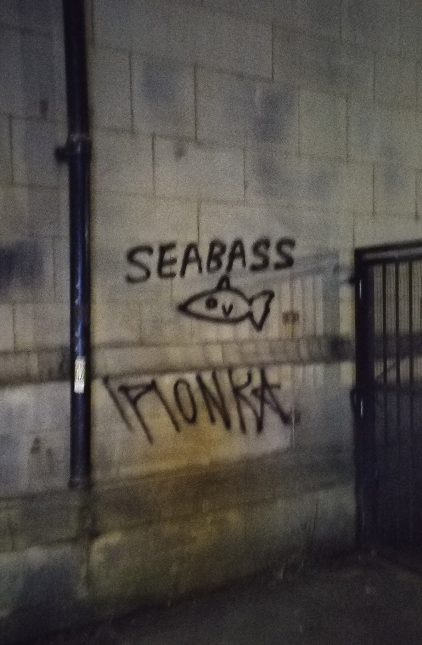 Graffiti of a simple fish captioned SEABASS